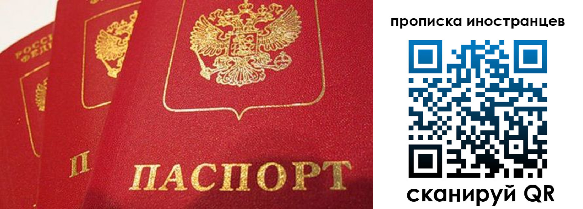 прописка поиск в Лагани